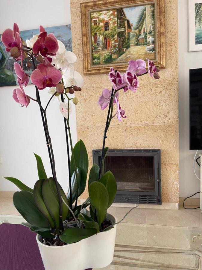 Villa With Heated Private Pool, Sea View& Turkish Sauna ベナルマデナ エクステリア 写真